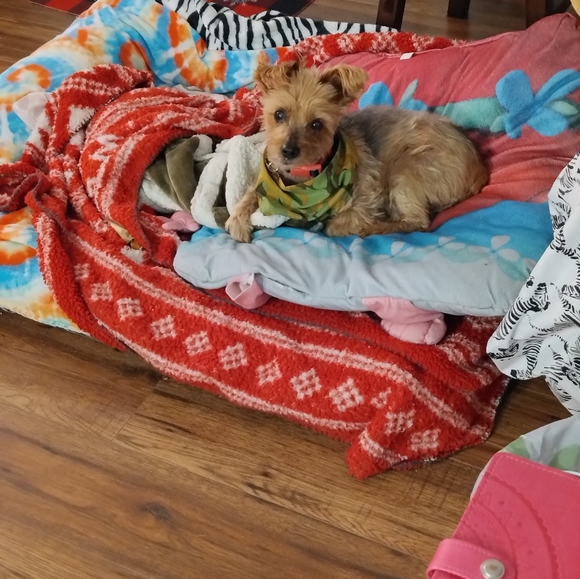 Meet your Posher, Kate grace - Picture 4 of 12